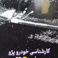 ماشین ۴۰۵ مشکی