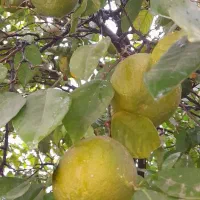 ۰۹۱۷۳۸۵۹۰۰