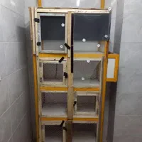قفس چندطبقه پرنده|لوازم جانبی حیوانات|قزوین, |دیوار