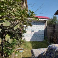 فروش فوری|فروش خانه و ویلا|تالش, هشتپر|دیوار