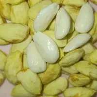بادام شیرین