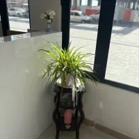 ۱۱۵متر/برجمهندسین/وامدار/کلیدنخورده/زعفرانیه|فروش آپارتمان|قم, الغدیر|دیوار