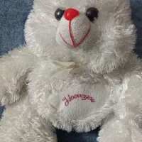 ۸ مورد عروسک پلیشی