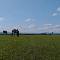 زمین فروشی صوفیان مناسب دامداری و پرورش اسب