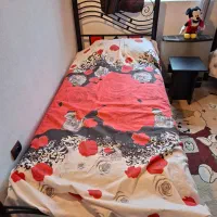 تخت دو نفره و تک نفره فلزی|تخت و سرویس خواب|نوشهر, |دیوار