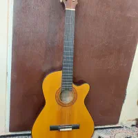 گیتار سالم و خوش‌صدا  مناسب تمرین و اجرا