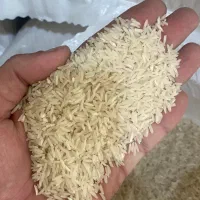 فروش برنج فجرسوزنی  و دم سیاه و لاشه مینودشت|خوردنی و آشامیدنی|مینودشت, |دیوار