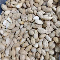 بادام درختی|خوردنی و آشامیدنی|تهران, تهرانپارس جنوبی|دیوار