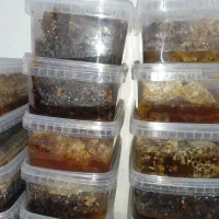 عسل بشرط طبیعی تضمینی فقط ۵۰۰هزارزیرقیمت بازار|خوردنی و آشامیدنی|سقز, |دیوار