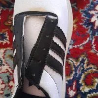 کفش|کیف، کفش، کمربند|بم, |دیوار