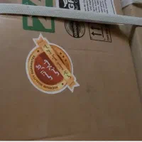 کولر ۱۲۰۰۰ گرین|کولر گازی و فنکوئل|لاهیجان, گلستان|دیوار