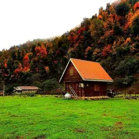 اجاره ویلا کلبه چوبی رویایی بسیار تمیز و امن