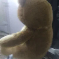 خرس عروسکی|اسباب‌بازی بچه|قرچک, زیبا شهر|دیوار