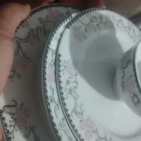 ظروف چینی|ظروف سرو و پذیرایی|مهاباد (آذربایجان غربی), |دیوار