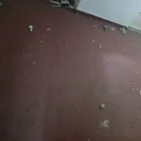 موکت