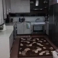 زمین و خونه ویلایی با باغ کیوی