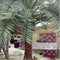 خانه ویلایی کلنگی 300متری