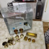 قناری سهره قفس
