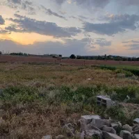 زمین ۴۴۰متری در جاده خین عرب نرسیده به شهرک بهار