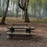 پرستاری و خدمات منزل