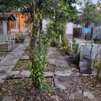 ویلا فروشی|فروش خانه و ویلا|عباسآباد, |دیوار