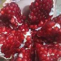 باغ اجاره داده می شود ۲ هکتار