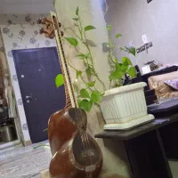 تار حرفه ای مناسب اجرا دست نوازنده و بسیار ایده آل|سازهای سنتی|شهریار, کردزار|دیوار