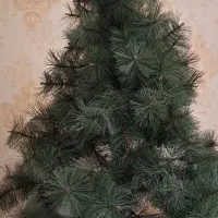 درخت کاج کریسمس