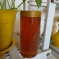 عسل ۱۰۰ درصد طبیعی ییلاقی درجه یک
