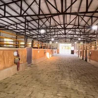 اسب و پانسیون