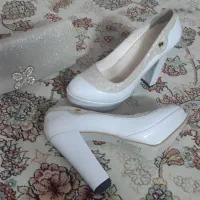 کیف و کفش ست