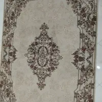 قالی در حدنو