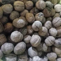 شیره انگور کیلویی ۵۰۰وگردوی تازه شیروان کیلویی ۳۵۰|خوردنی و آشامیدنی|تهران, ابوذر|دیوار