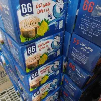 تن ماهی ۶۶