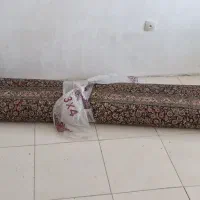 فرش ماشینی|فرش|کرمان, |دیوار