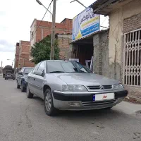 زانتیا تمیز و مرتب