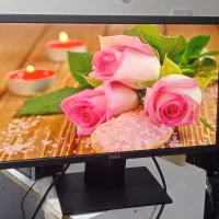 مانیتور 23 Ips Dell با مهلت تست و گارانتی|قطعات و لوازم جانبی رایانه|شیراز, امام حسین|دیوار