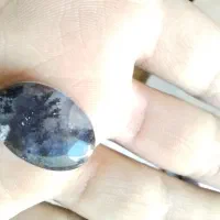 شجر سیاه خراسان