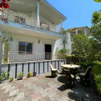 شهرکی-روبه-جنگل