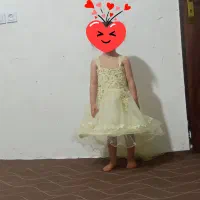 لباس عروس دنباله دار|لباس|نورآباد, |دیوار