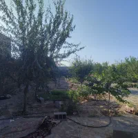 باغ در بافت روستا مبیاشد|فروش زمین و ملک کلنگی|رضویه, |دیوار