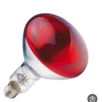 لامپ مرغ مادر