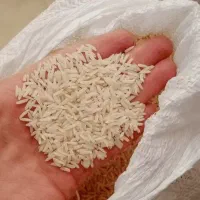 فروش برنج هاشمی،برداشت امسال،ازگیلان،شهرستان ماسال|خوردنی و آشامیدنی|بندرعباس, |دیوار