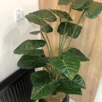 گل مصنوعی|گل مصنوعی|قائم‌شهر, |دیوار