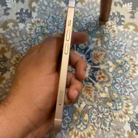 iphone 13 zaa|موبایل|مشهد, دانشجو|دیوار