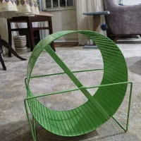 چرخ و فلک همستر و خوکچه هندی|لوازم جانبی حیوانات|قدس, شهر‌قدس|دیوار