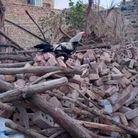 لوازم فروشی .کدوک|ظروف پختوپز|ایرانشهر, |دیوار