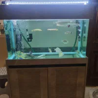 اکواریوم ۲۴۰ لیتری