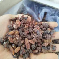 کشمش ومویز|خوردنی و آشامیدنی|ارومیه, |دیوار