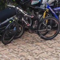 دوچرخه ویوا مدل 24